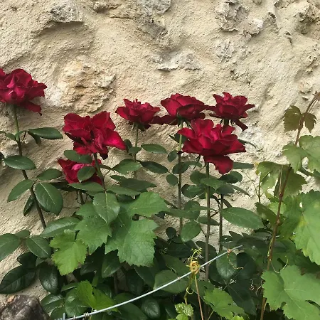 Pensjonat La Fourniere