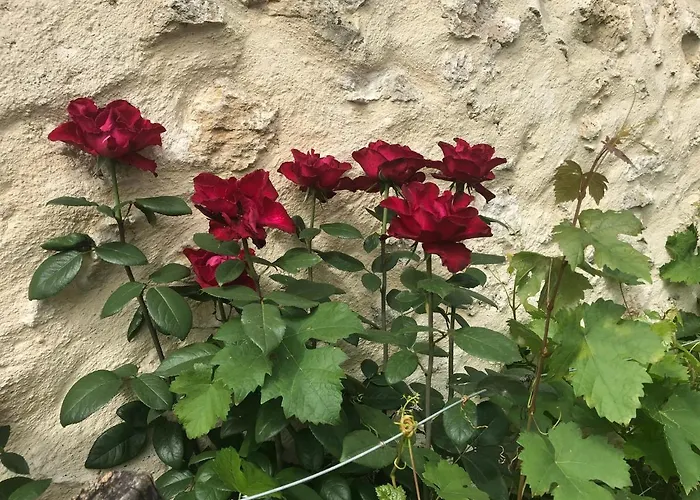 Pensjonat La Fourniere